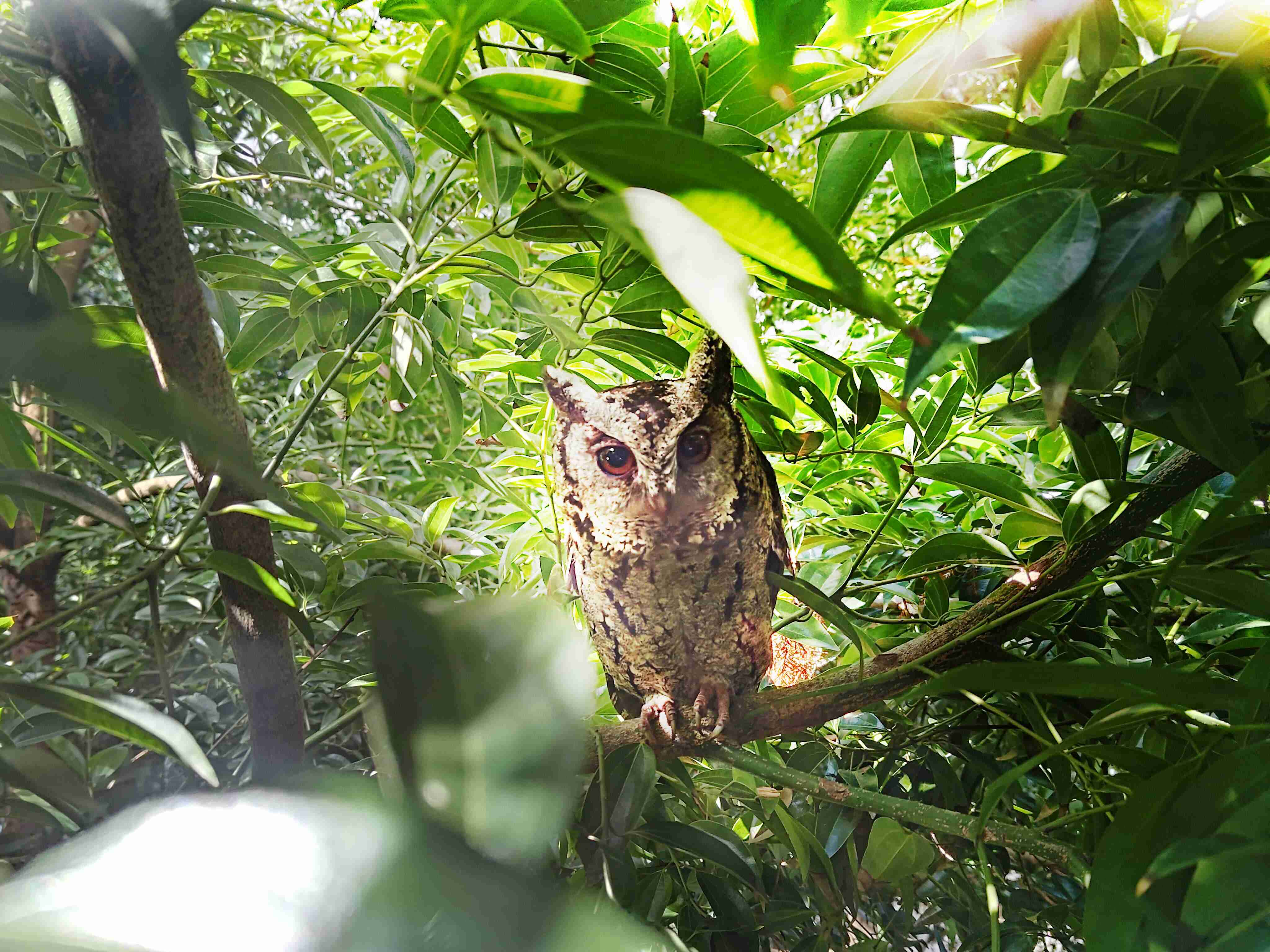 PA直营致力提倡净零绿生活，，16年以来在全球各厂区植树逾百万棵，，，造就各厂区树木蔚然成林，，，，犹如森林工厂，，，，成为许多生物的栖息地